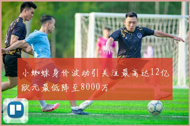 小蜘蛛身价波动引关注最高达12亿欧元最低降至8000万
