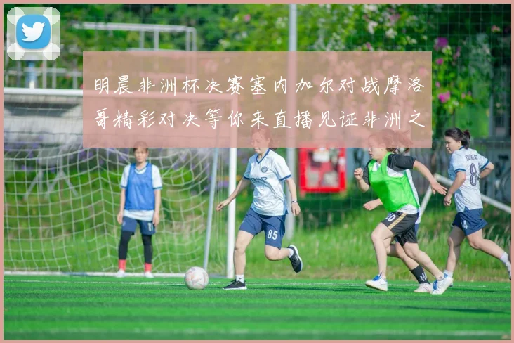 明晨非洲杯决赛塞内加尔对战摩洛哥精彩对决等你来直播见证非洲之王的诞生